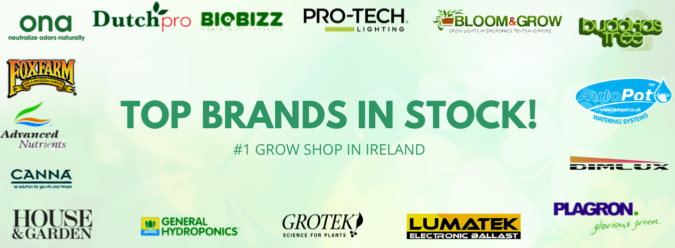 Bloom & Grow Shop Dublin