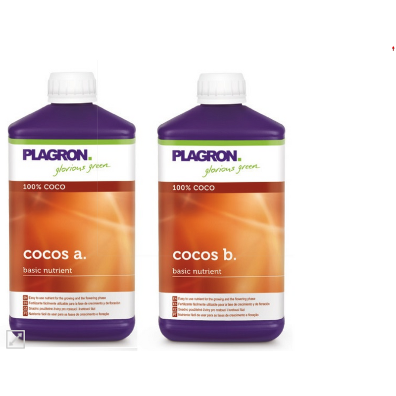 Plagron Coco A+B
