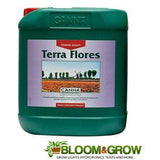 CANNA TERRA FLORES
