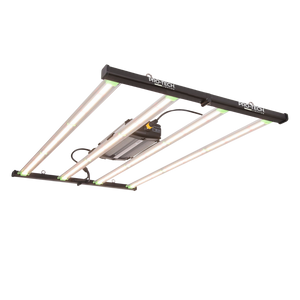 Pro Tech 430w LED