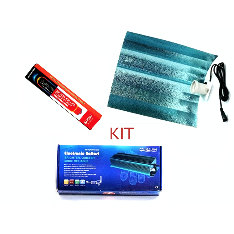 600w Dimmable light Kit